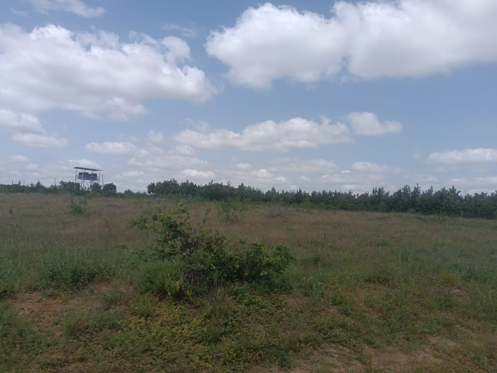 Land Project 4 Image 3